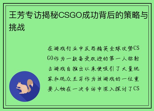 王芳专访揭秘CSGO成功背后的策略与挑战