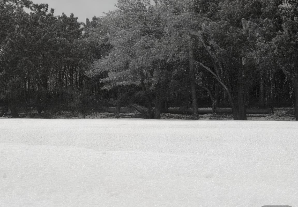 泰伦卢痛批快船队收官阶段执行力短板：篮板保护不力成失利关键